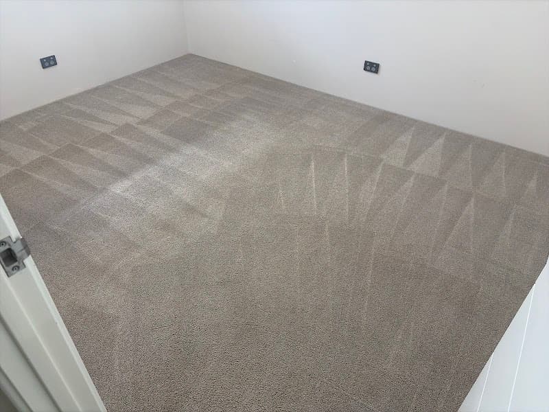 AMS Carpet Cleaning carpet cleaning work in Craigie