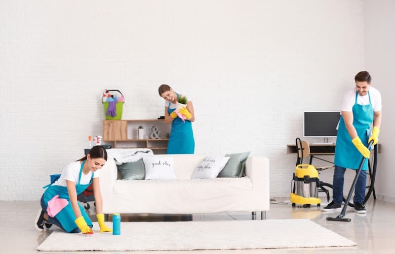 AMS Carpet Cleaning carpet cleaning work in Craigie