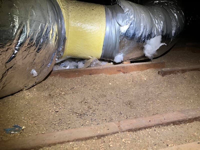 Andersen Pest Services pest control work in Valentine