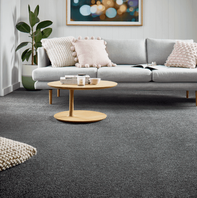 Andersens Bundaberg carpet cleaning work in Bundaberg Central