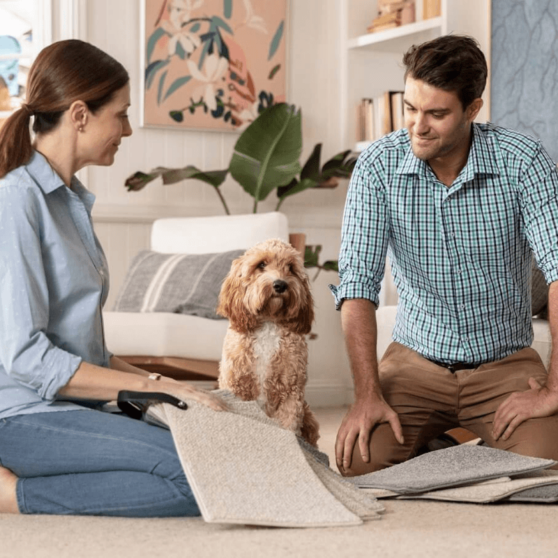 Andersens Cairns carpet cleaning work in Mooroobool