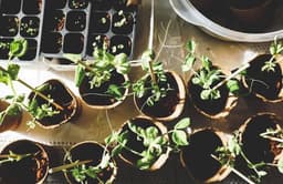 Andersen's Gardening Services