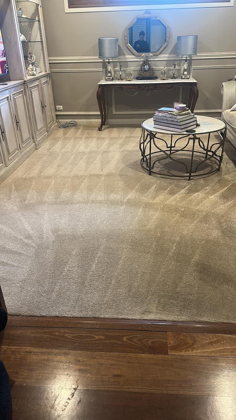 Andino Solutions PTY LTD oven & bbq cleaning work in Mount Gravatt