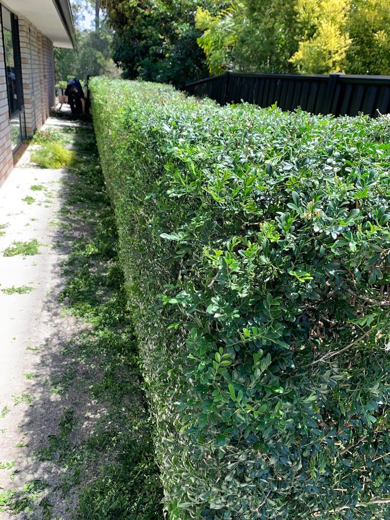 Andy's Lawn & gardening services landscaping work in Reedy Creek