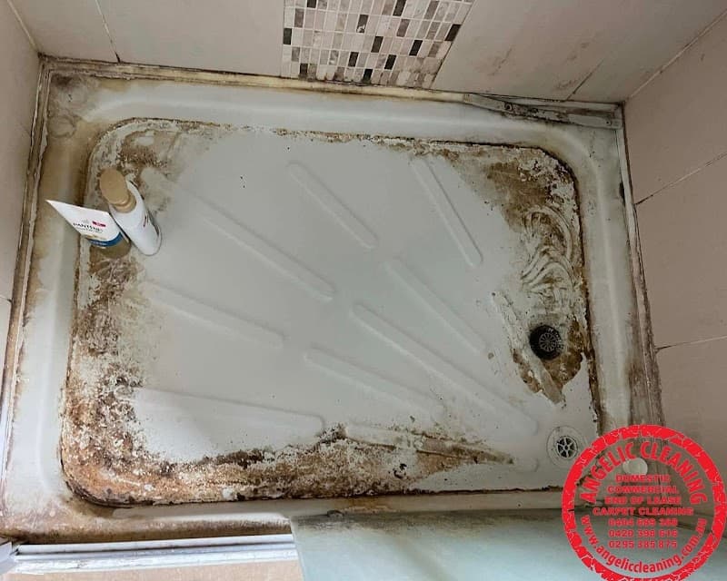 Angelic Cleaning NSW PTY LTD cleaning work in Potts Point