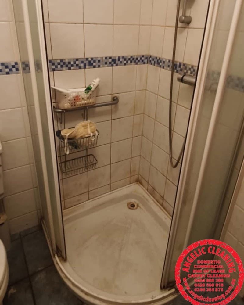 Angelic Cleaning NSW PTY LTD cleaning work in Potts Point