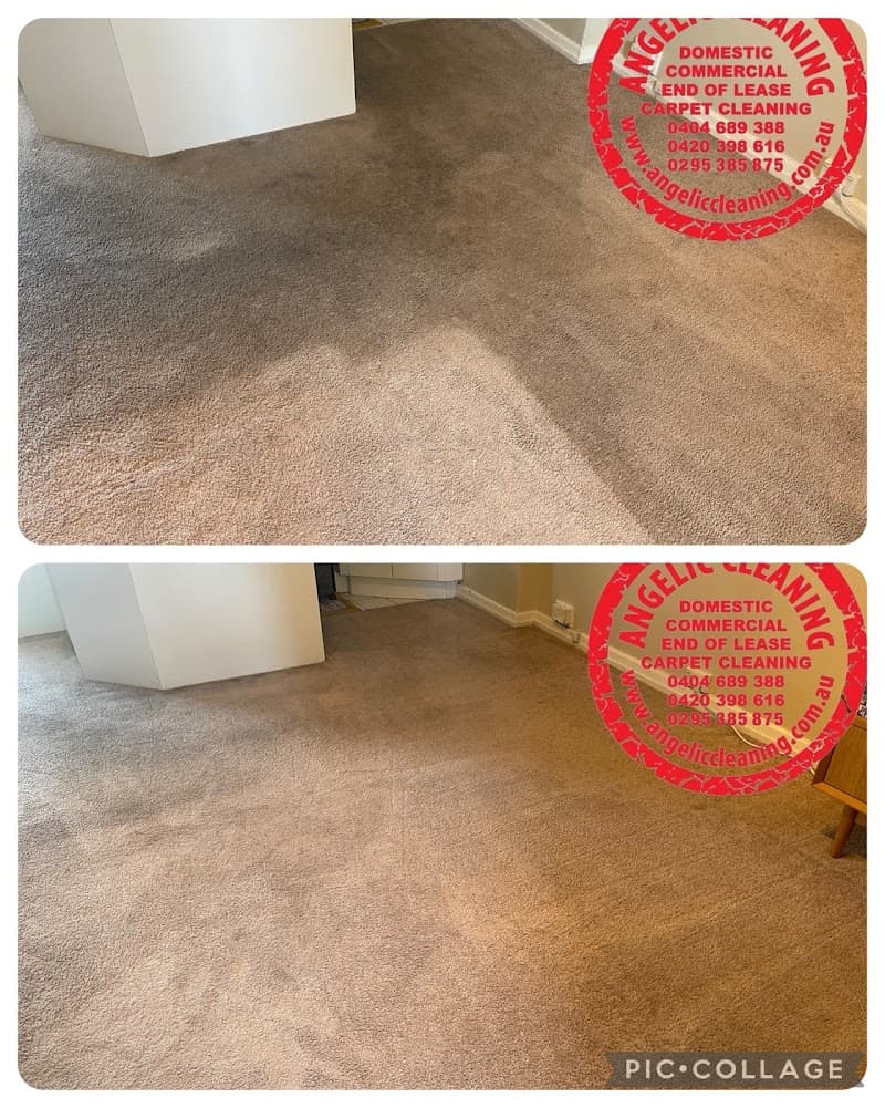 Angelic Cleaning NSW PTY LTD cleaning work in Potts Point