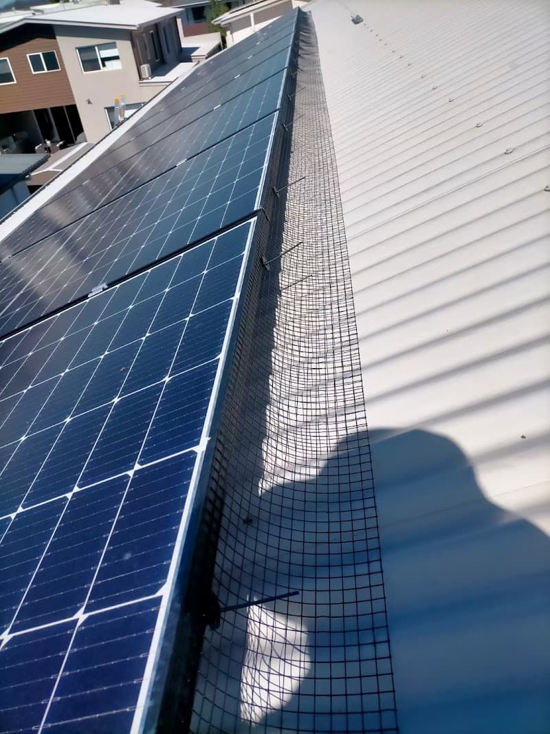 Antermite Pest Control pest control work in Ormiston