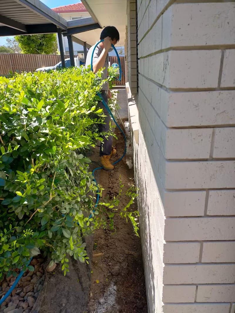 Antermite Pest Control pest control work in Ormiston