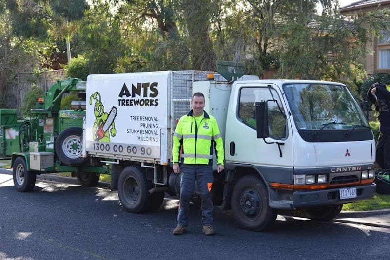 Ants Treeworks Pty Ltd tree services work in Langwarrin