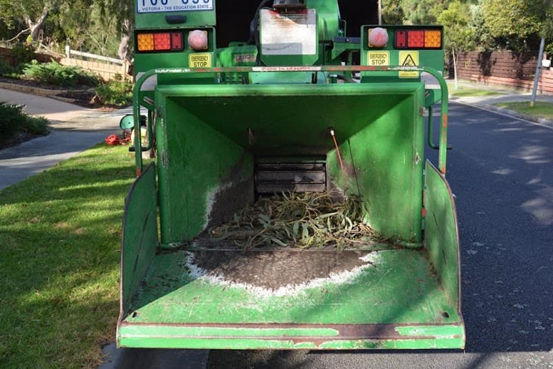 Ants Treeworks Pty Ltd tree services work in Langwarrin