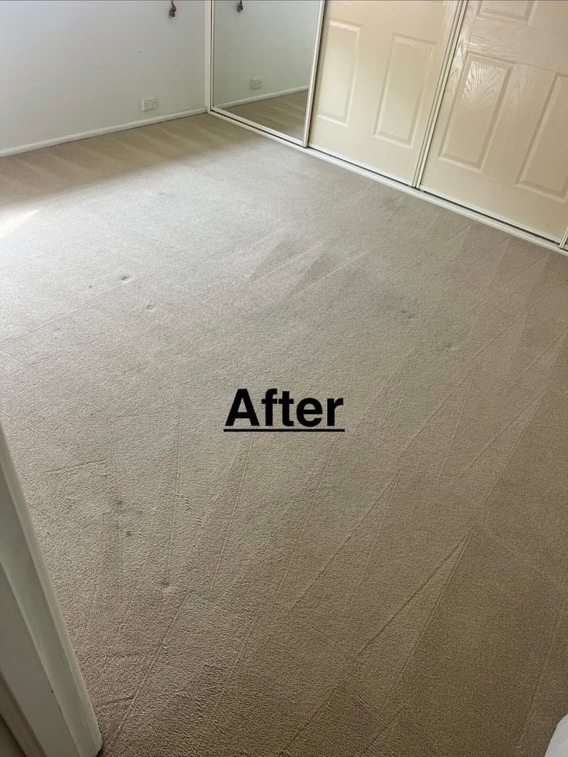 Anytime Carpet Cleaning carpet cleaning work in Peats Ridge