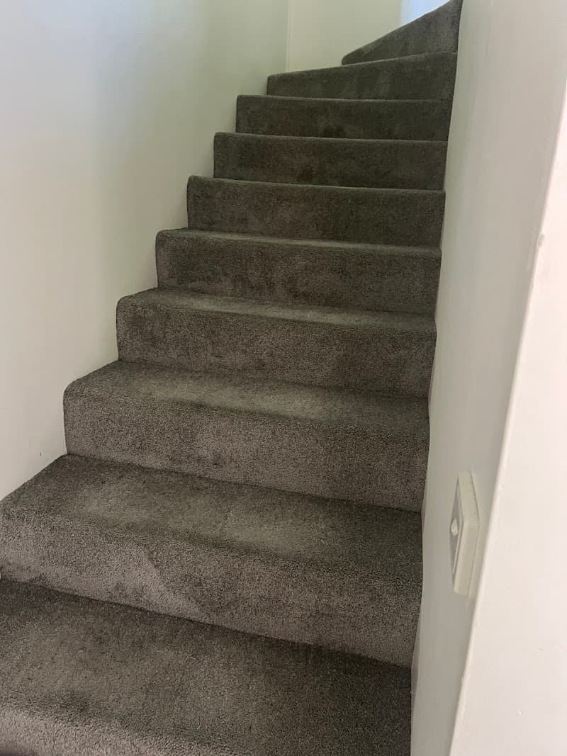 Anytime Carpet Cleaning carpet cleaning work in Peats Ridge