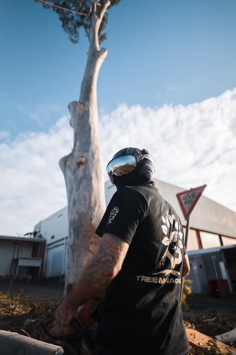 A.P. Tree Management tree services work in Cranbourne