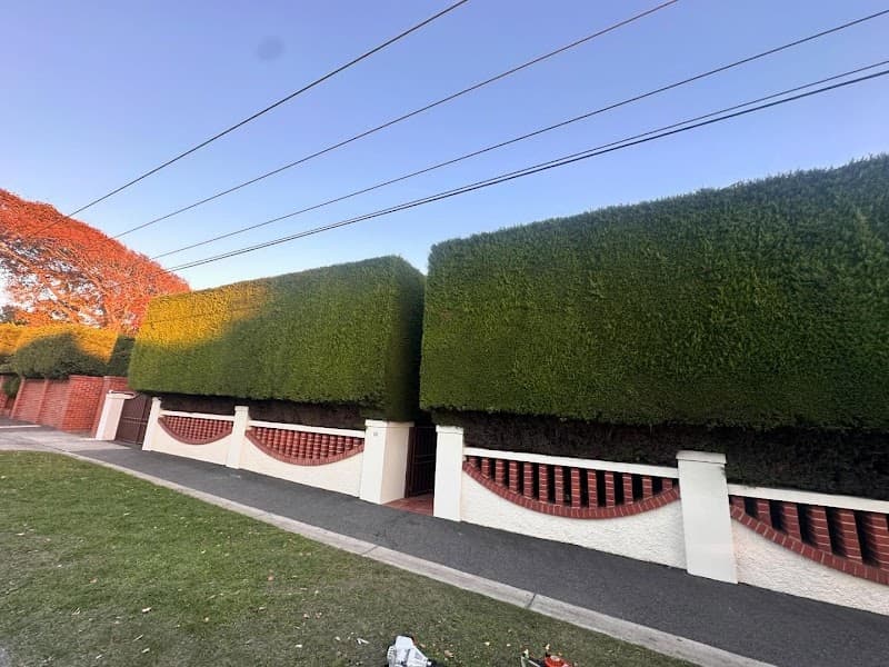 A.P. Tree Management tree services work in Cranbourne