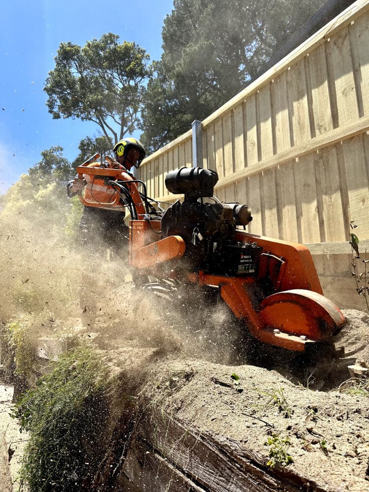 A.P. Tree Management tree services work in Cranbourne