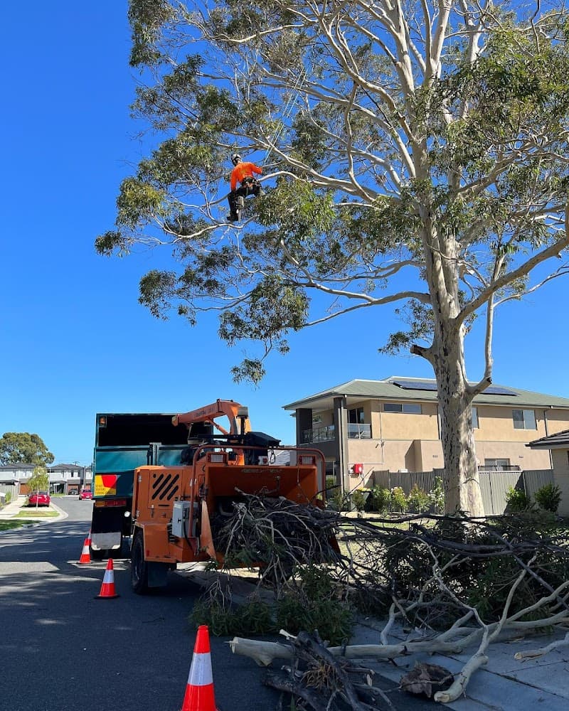 Arbay Tree Services tree services work in Seaford