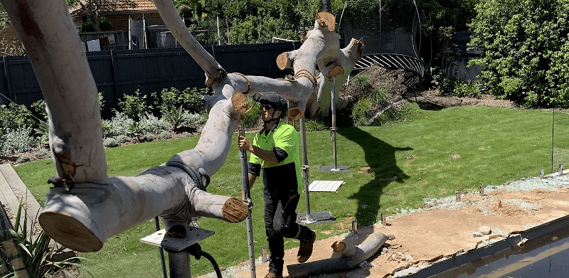 Arbor Co Tree Services tree services work in Freshwater