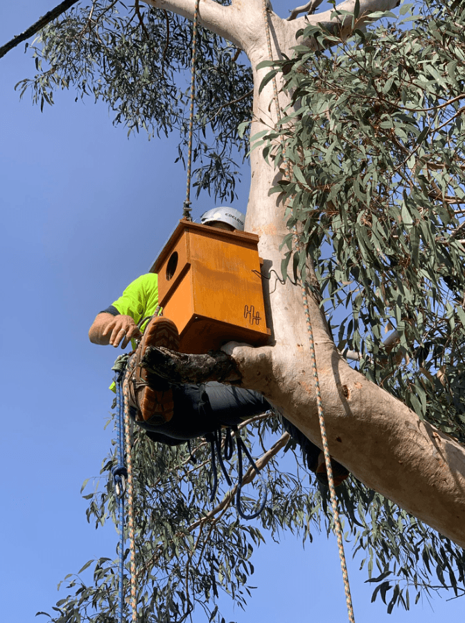 Arbor Co Tree Services tree services work in Freshwater
