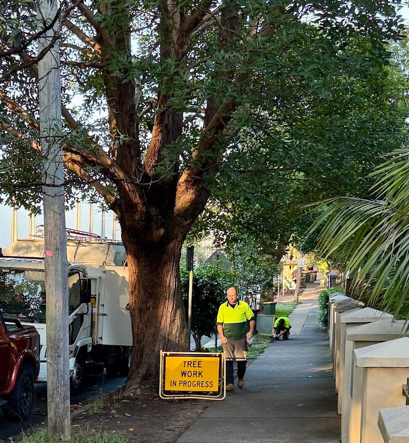 Arbor Co Tree Services tree services work in Freshwater