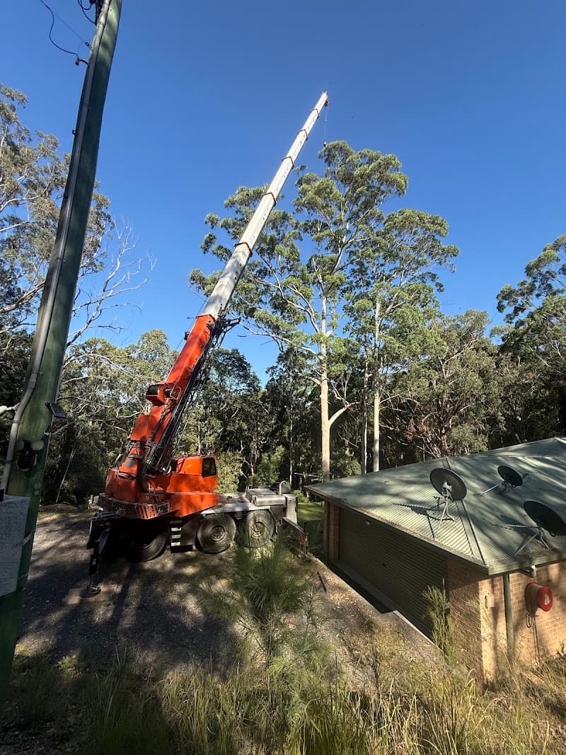 Arbor Earth Solutions - Beau’s Tree Service tree services work in Martinsville