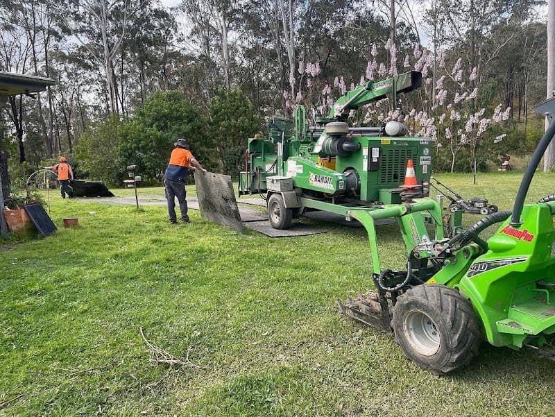 Arbor Earth Solutions - Beau’s Tree Service tree services work in Martinsville