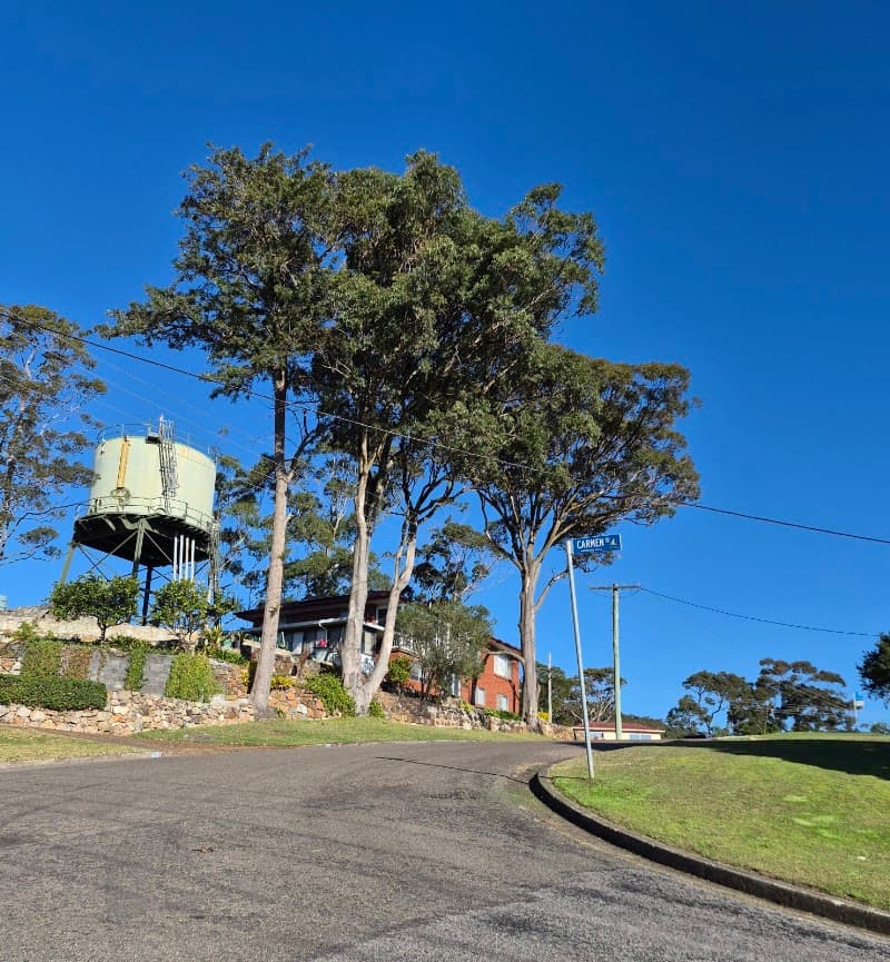 Arbor Earth Solutions - Beau’s Tree Service tree services work in Martinsville
