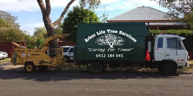 Arbor Life Tree Services Pty Ltd tree services work in North Toowoomba