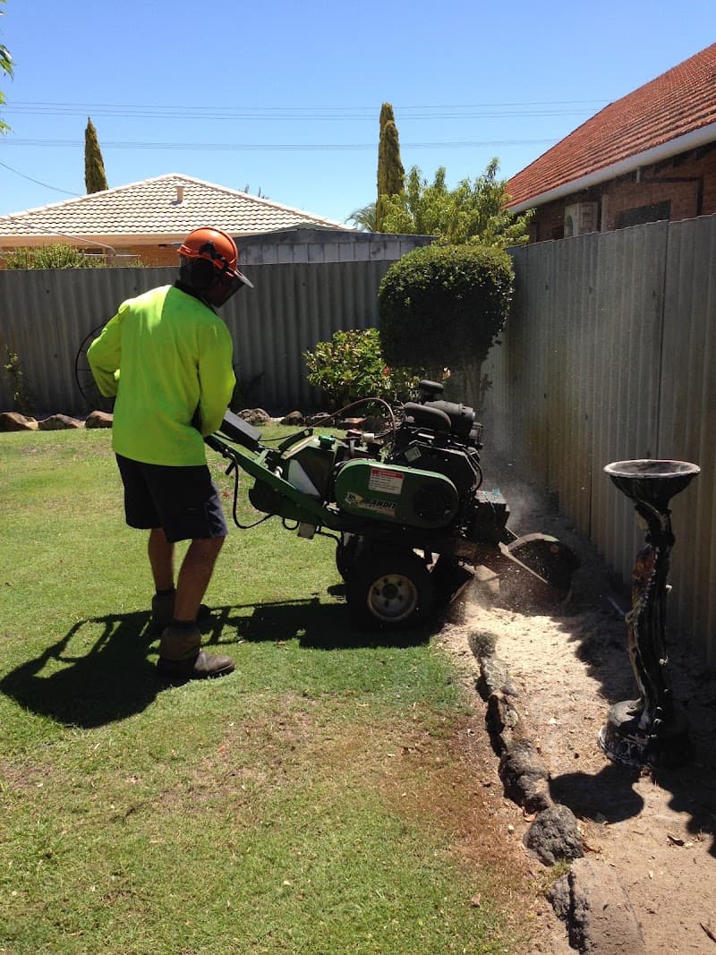 Arbor North Tree Services tree services work in Neerabup
