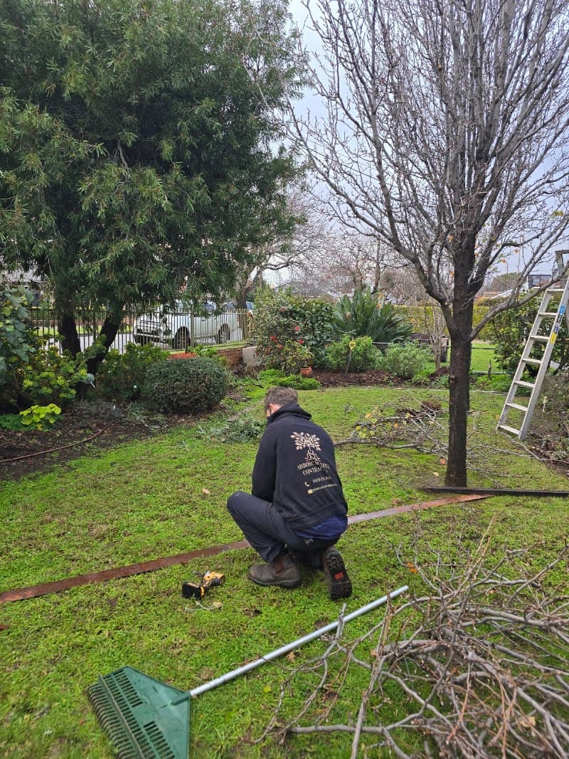 Arborcare Tree Contractors tree services work in Aberfoyle Park