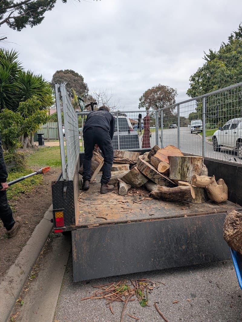 Arborcare Tree Contractors tree services work in Aberfoyle Park