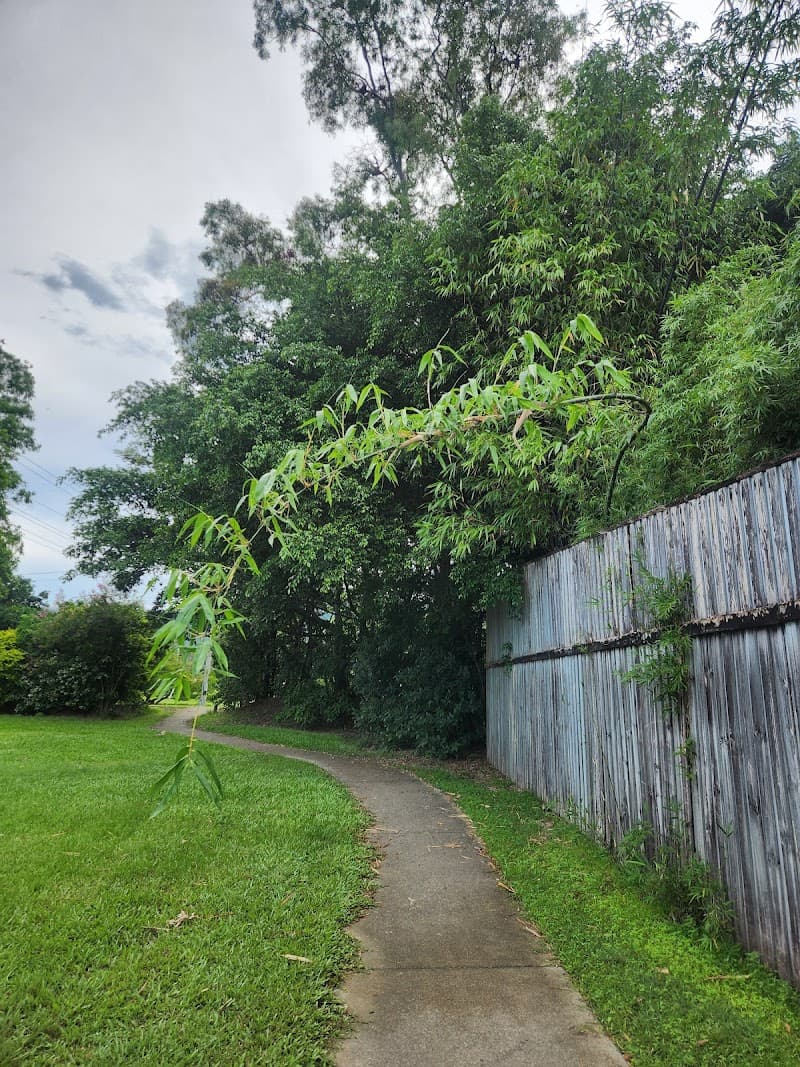 Arborcare Tree Services NQ tree services work in Smithfield