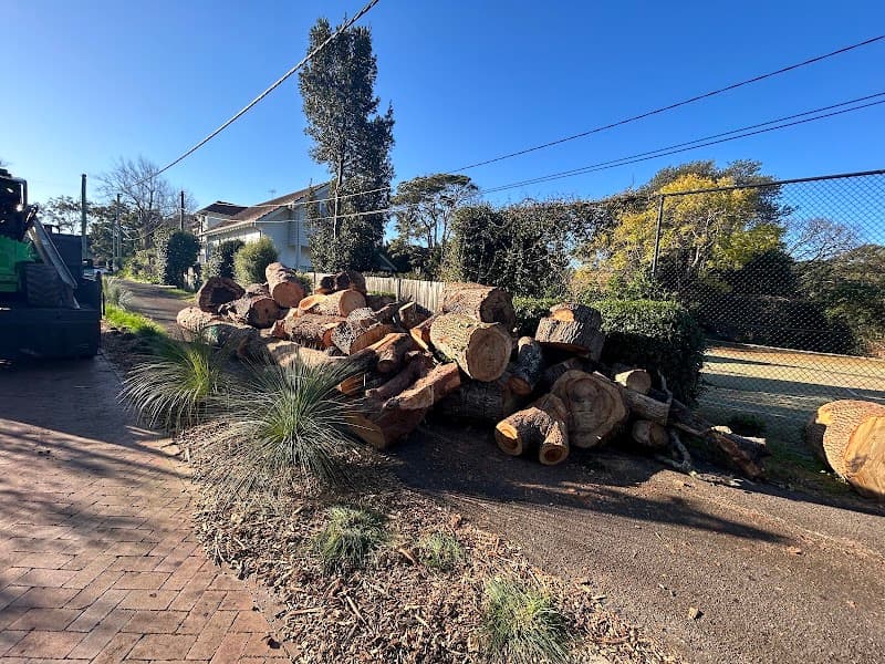 Arborist tree works tree services work in Sefton