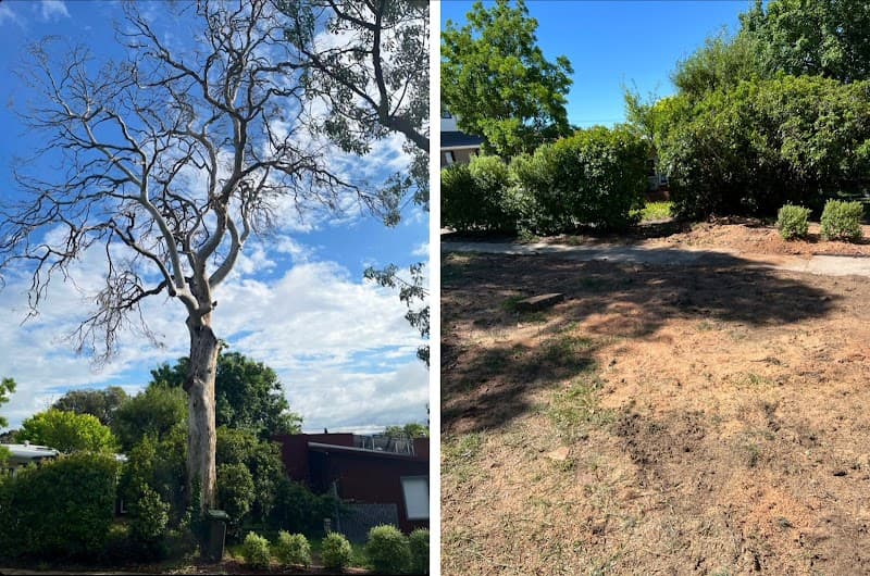 Arborista Trees tree services work in Harrison