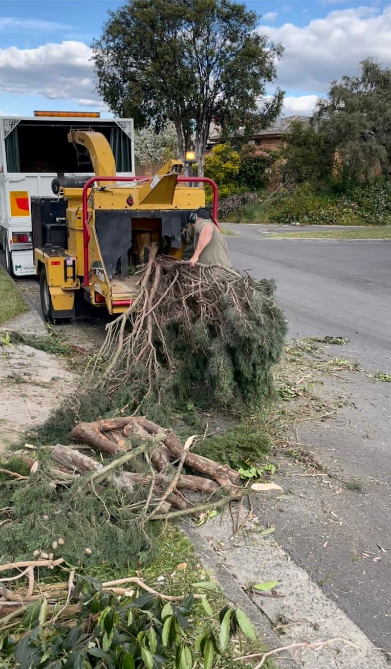 ArborPro Tree Solutions tree services work in Wheelers Hill
