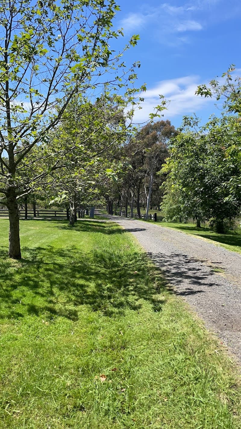 ArborPro Tree Solutions tree services work in Wheelers Hill