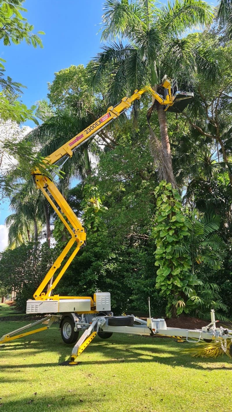 ArborWork Tree Services tree services work in Girraween