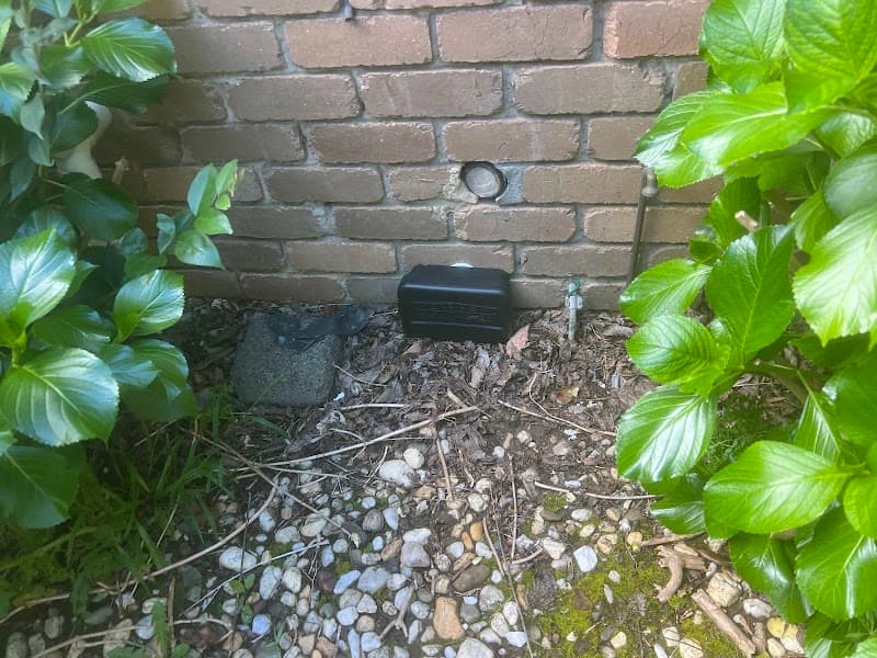 Area Specialist Pest & Wildlife Solutions pest control work in Dandenong