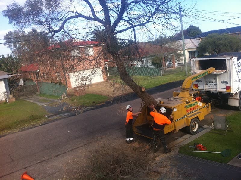 Argonauts Tree Service tree services work in Tuggerah