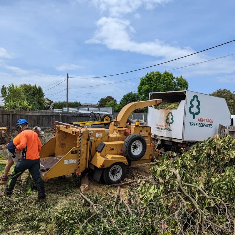 Armitage Tree Services tree services work in Moolap