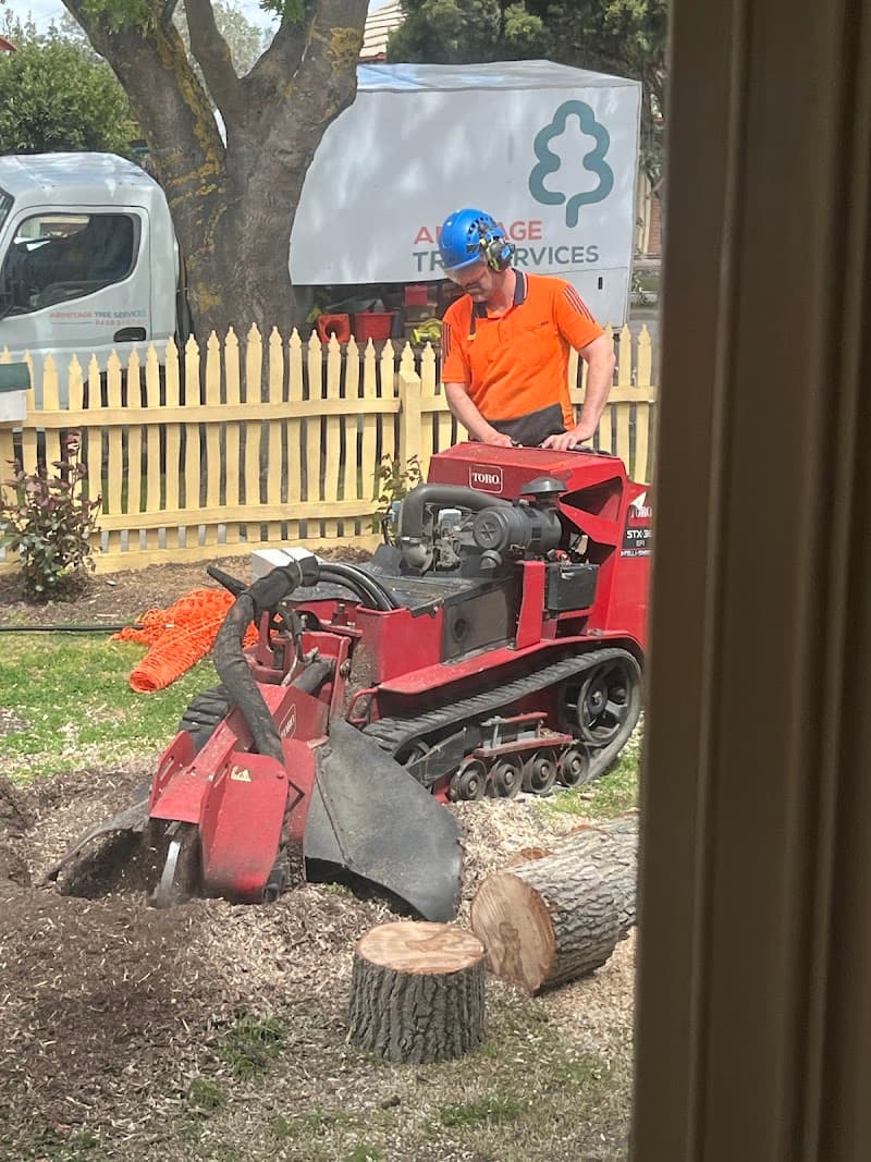 Armitage Tree Services tree services work in Moolap