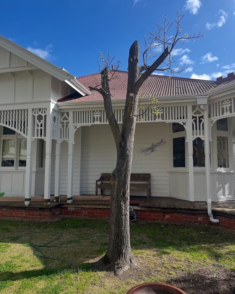 Armitage Tree Services tree services work in Moolap