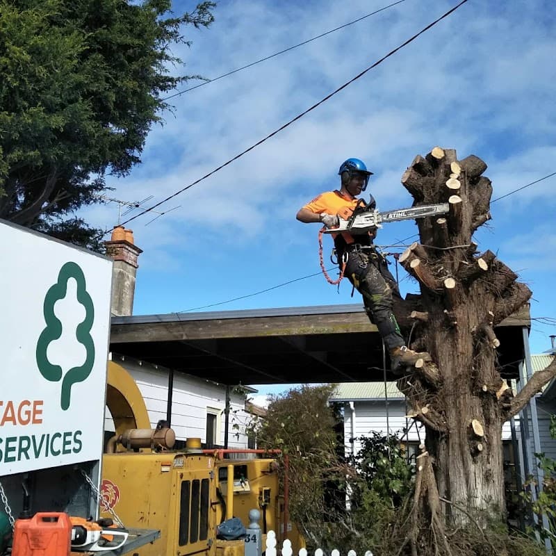 Armitage Tree Services tree services work in Moolap