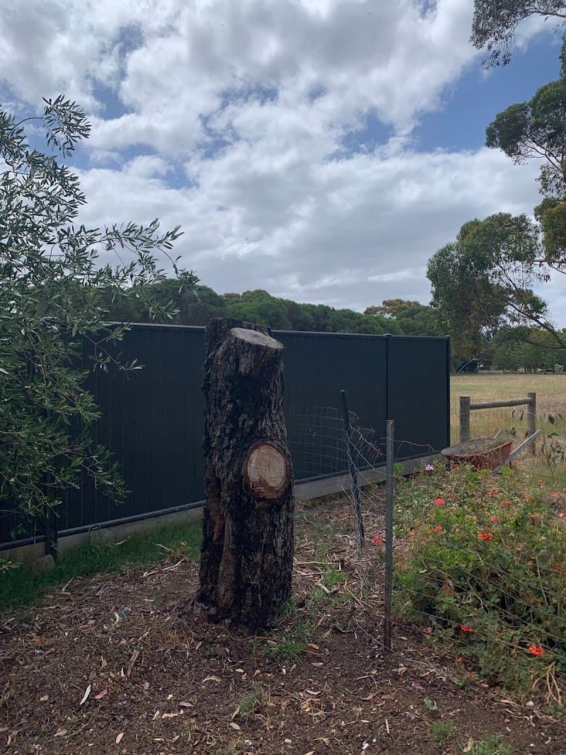 Armitage Tree Services tree services work in Moolap