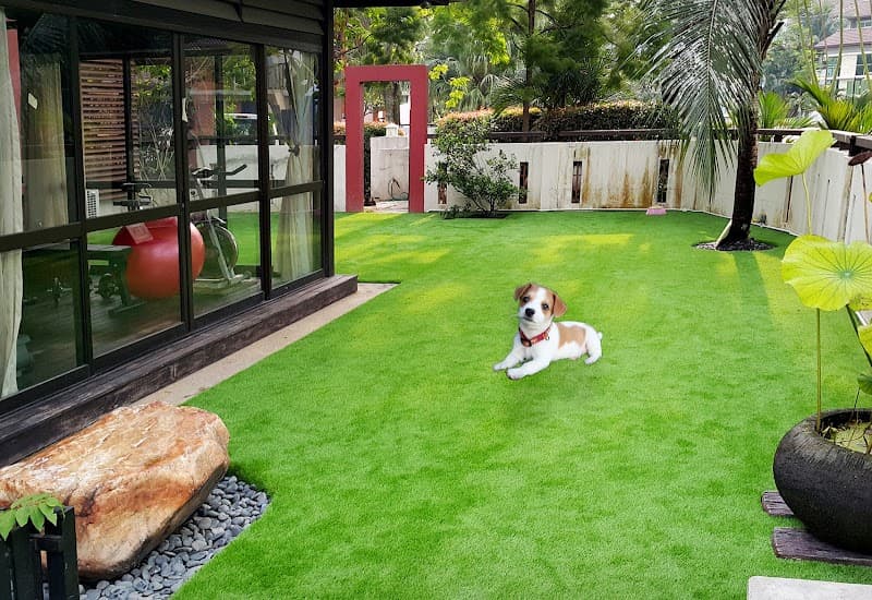 Artificial Turf Qld landscaping work in Pialba