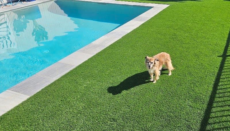 Artificial Turf Qld landscaping work in Pialba