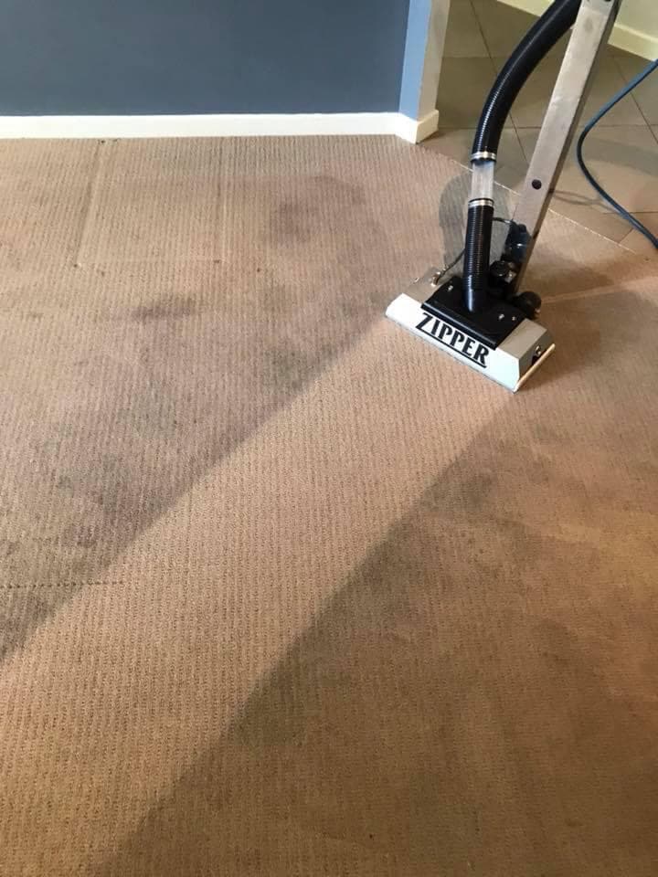 As New Carpet Cleaning carpet cleaning work in Ashmore