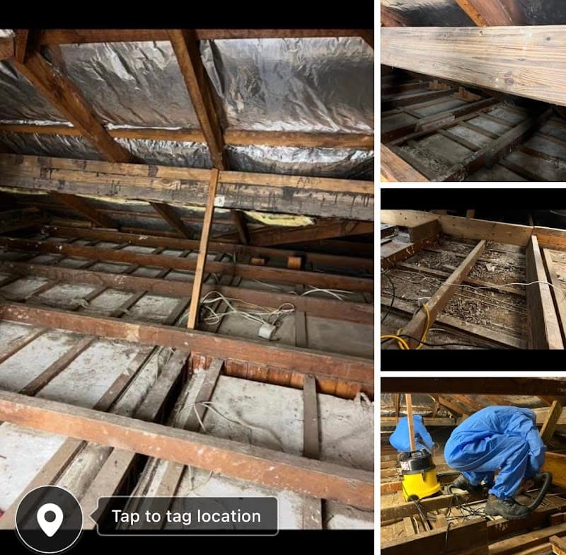 Asbestology | Premium Asbestos Services asbestos removal work in Milton