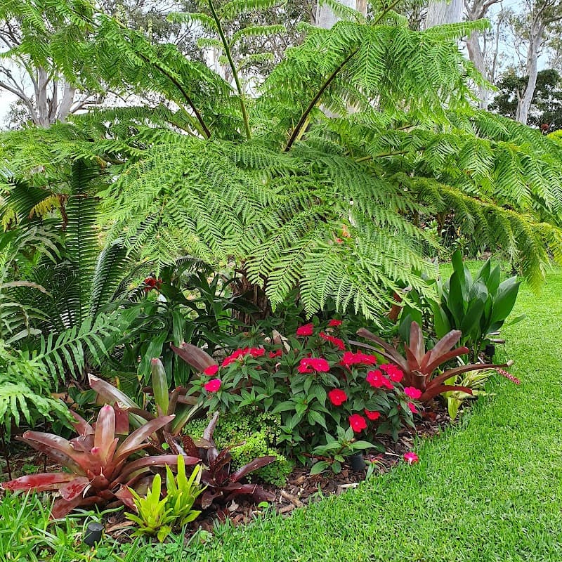 Aspect Landscape Design landscaping work in Murrays Beach