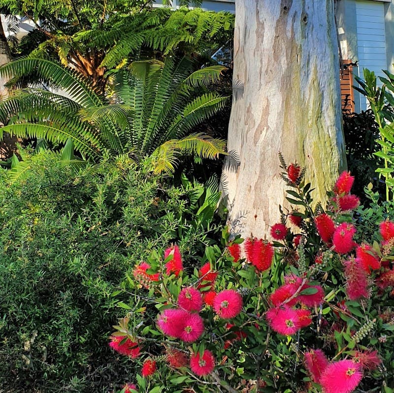 Aspect Landscape Design landscaping work in Murrays Beach